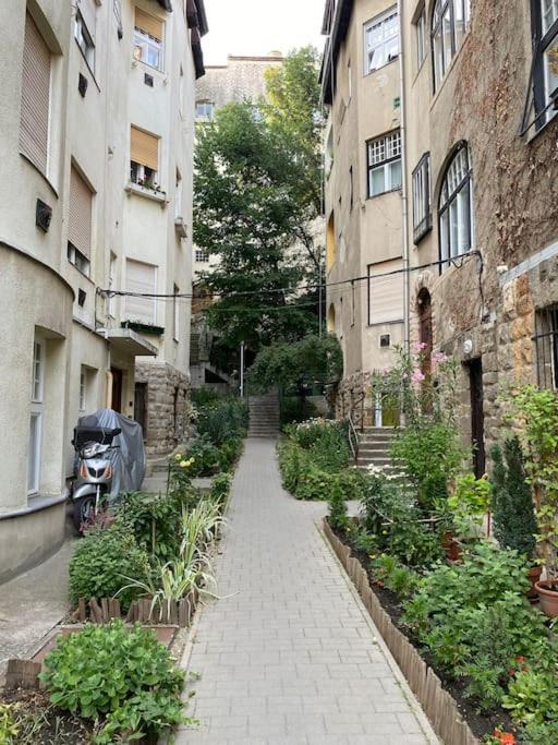 Tiny Private Apartment In Central Buda. بودابست المظهر الخارجي الصورة